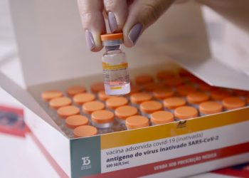 Novo lote com mais de 48 mil doses de vacina contra a covid-19 chega ao ES