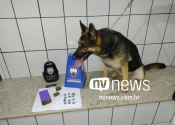 Drogas escondidas em casa abandonada são localizadas pela PM em Boa Esperança