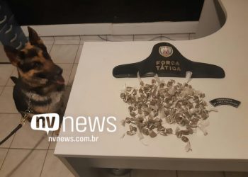 PM apreende dois menores e cadela Jade localiza drogas em Nova Venécia