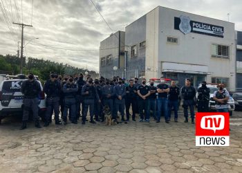 Pinheiros: Operação Integrada prende cinco pessoas, armas, drogas, dinheiro e pés de maconha