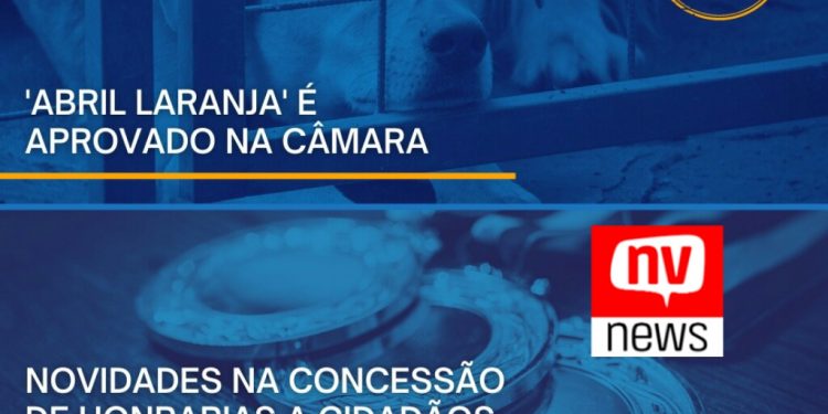 Abril Laranja é aprovado na Câmara de São Mateus