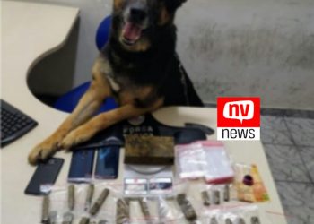 PM apreende haxixe, maconha e dinheiro com ajuda do cão farejador em São Mateus