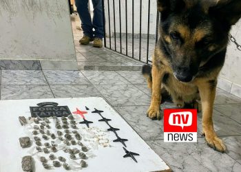 PM apreende drogas no bairro Cacique em São Mateus