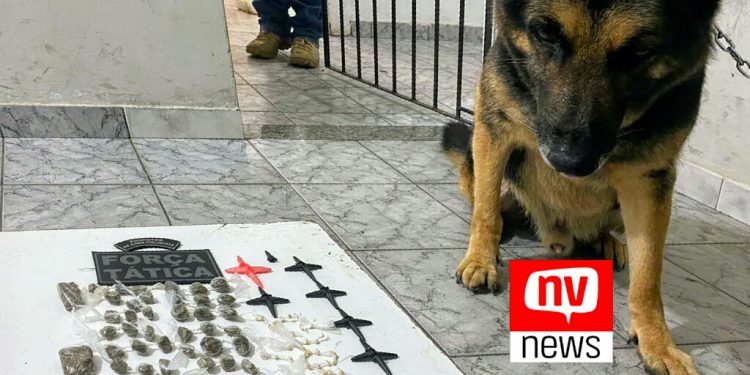 PM apreende drogas no bairro Cacique em São Mateus