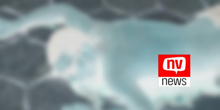 Homem é assassinado a tiros na tarde desta quinta-feira (02), no bairro Vila Nova em são Mateus