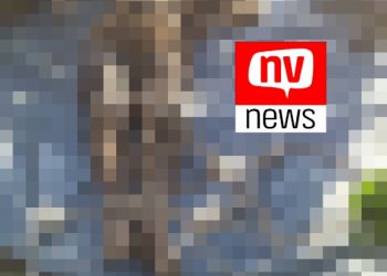 Corpo em estado de decomposição é encontrado em meio a plantação de café em Jaguaré