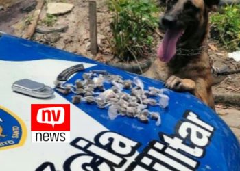 Dois traficantes são presos e drogas apreendidas pela PM no bairro Ribeirão em São Mateus