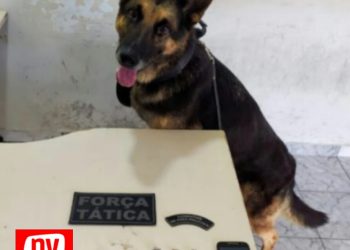 Traficantes de entorpecentes são presos no bairro Ribeirão em São Mateus