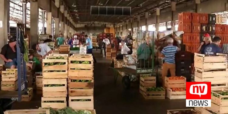 Por que frutas e legumes estão tão caros no ES?