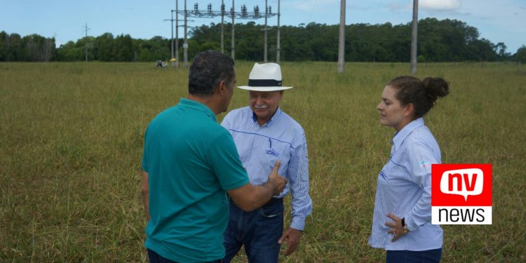 Iniciadas as obras de subestação da EDP em Jaguaré