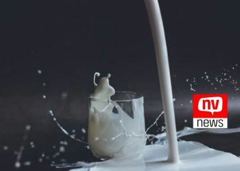 Como manter uma alimentação saudável sem lactose?