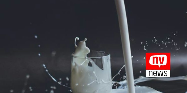 Como manter uma alimentação saudável sem lactose?