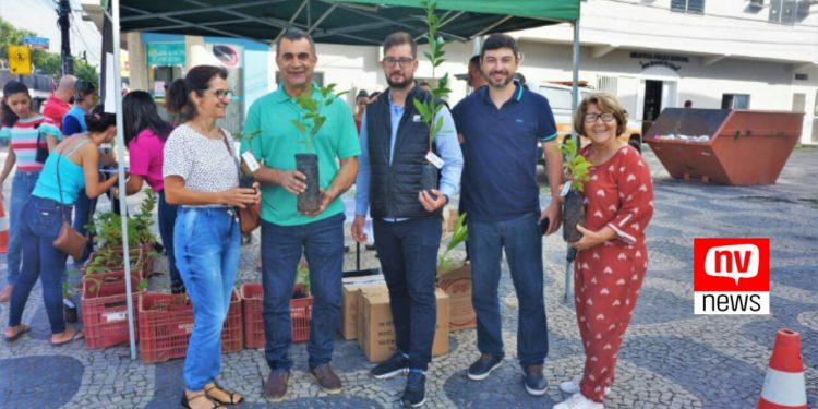 Em Jaguaré, doação de mudas nativas marca Semana do Meio Ambiente