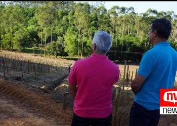 Morro do São Geraldo começa a receber revsol, em Jaguaré