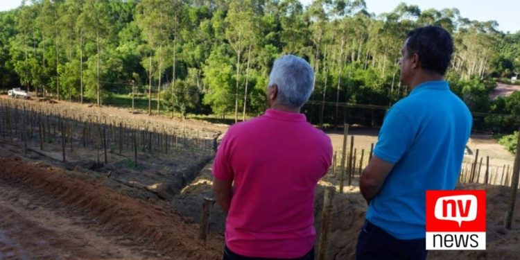 Morro do São Geraldo começa a receber revsol, em Jaguaré