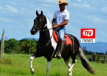 1ª Copa Marcha do Cavalo Mangalarga Marchador será realizada em Jaguaré