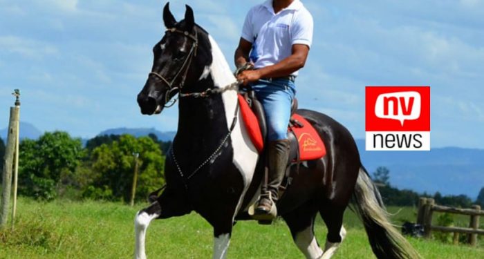 1ª Copa Marcha do Cavalo Mangalarga Marchador será realizada em Jaguaré