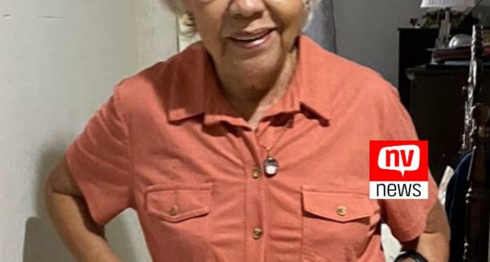 Vereadores reconhecem exemplo de Dona Disney no serviço público