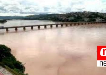 Laudo aponta que peixes do Rio Doce continuam contaminados