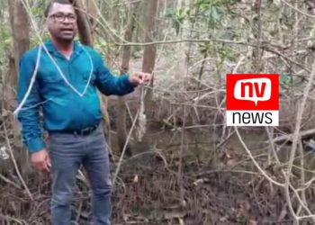 Adeci flagra peixes mortos em rio de Campo Grande