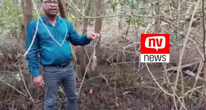 Adeci flagra peixes mortos em rio de Campo Grande
