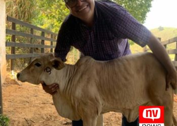 Seca gera prejuízos para criadores de gado no sul do Espírito Santo