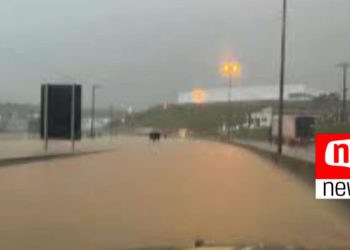Chuva no ES: Rodovias federais e estaduais seguem com interdições; veja trechos