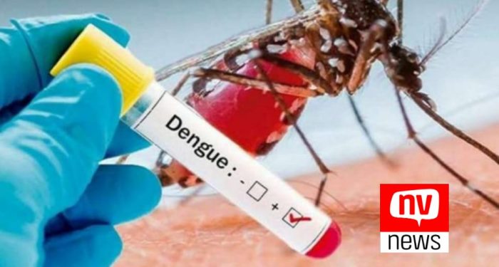 Dengue: ES já soma 18 mil casos de neste ano e número já é maior do que 2021 inteiro