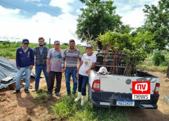 Meio Ambiente prossegue com o plantio de mudas em Jaguaré