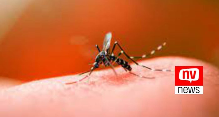 Após chuvas Prefeitura de Jaguaré alerta sobre os cuidados para combater a dengue
