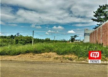 Prefeitura de Jaguaré pode notificar proprietários de lotes sujos