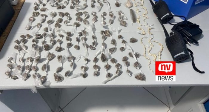 Polícia Militar apreende grande quantidade de drogas em Vila Valério