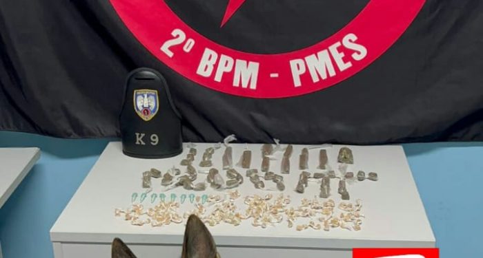 Militares da Força Tática do 2º Batalhão apreenderam diversos entorpecentes em Nova Venécia