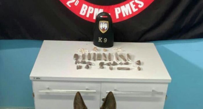 Força Tática e K9 apreendem entorpecentes no bairro  Betânia em Nova Venécia