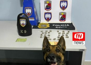 Operação conjunta da PC e PM prende homem com maconha em Pinheiros
