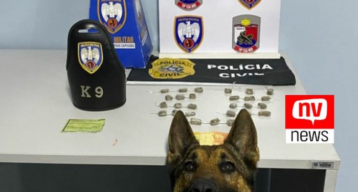 Operação conjunta da PC e PM prende homem com maconha em Pinheiros