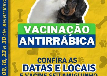São Gabriel da Palha: confira o local e horário para vacinar seu pet contra a raiva