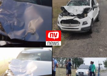 Ministério Público notifica Suzano para remover animais clandestinos causadores de acidentes na Rodovia Montanha-Mucurici