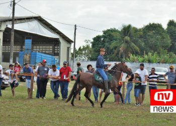 2ª Copa de Marcha de Cavalo Mangalarga Marchador em Jaguaré será em setembro