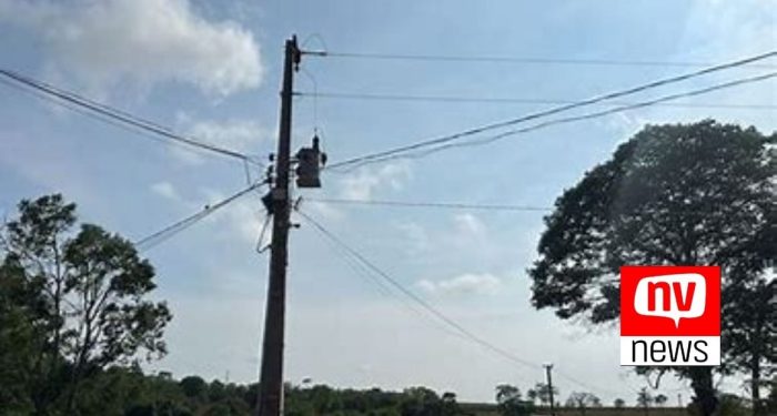 Gato de energia é flagrado em propriedades rurais de São Mateus