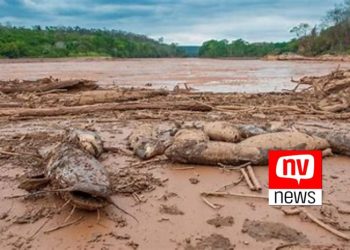 Lama do Rio Doce: caso vai começar a ser analisado pela Justiça inglesa