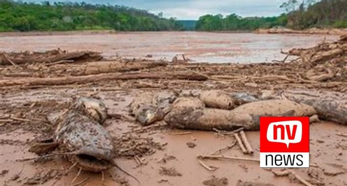 Lama do Rio Doce: caso vai começar a ser analisado pela Justiça inglesa