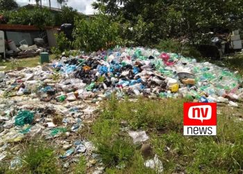 Prefeitura de Jaguaré alerta para limpeza de lotes na prevenção contra o mosquito da dengue