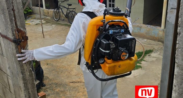Casos de zika e dengue fazem Jaguaré reforçar combate ao aedes aegypti