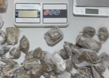 “Disk Maconha” é desarticulado pela PM no bairro Ayrton Senna em São Mateus