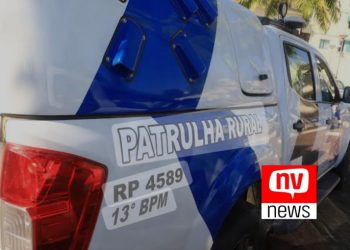 Roubos de café aumentam com chegada do período de colheita no ES