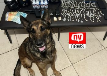 São Gabriel da Palha: Operação policial desmantela quadrilha de tráfico de drogas no bairro Vila Comboni e apreende grande quantidade de drogas e dinheiro