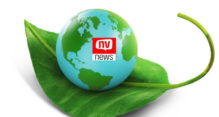 Junho é o mês da consciência ambiental