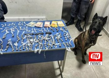 Cão farejador Moisés localiza drogas em operação policial no Valão, no bairro Vila Nova em São Mateus
