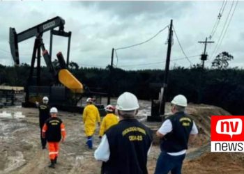 Volume de vazamento de óleo é “significativo” aponta CREA